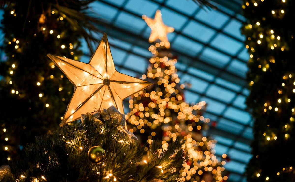 close-up photography of lighted yellow star Christmas tree topper
