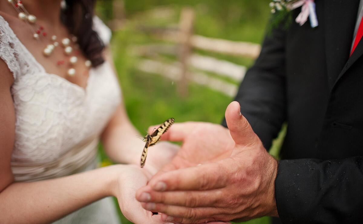 Wedding couple in hands butterfly