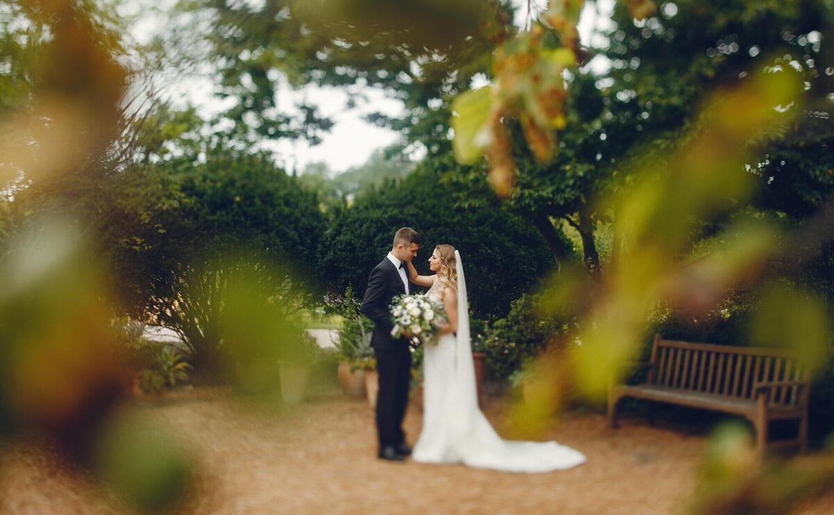 Elegant wedding couple